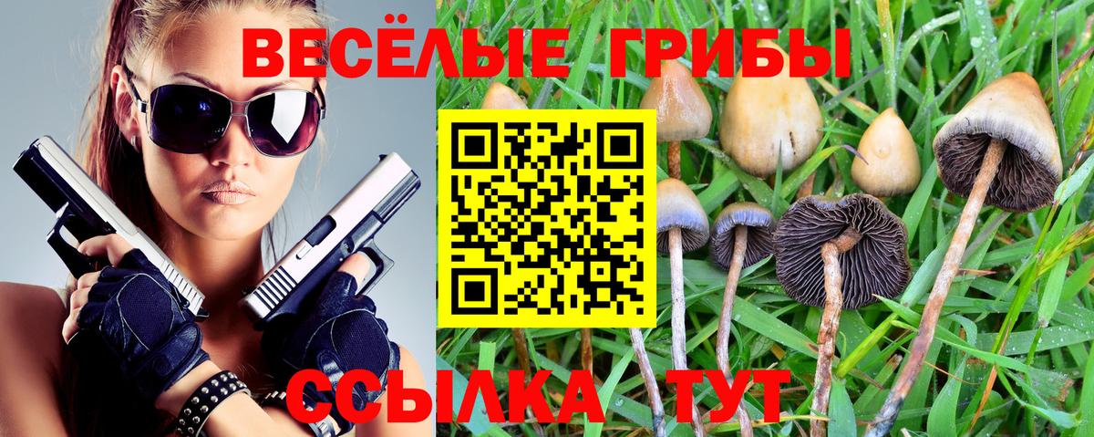 Псилоцибиновые грибы мухоморы Новочебоксарск