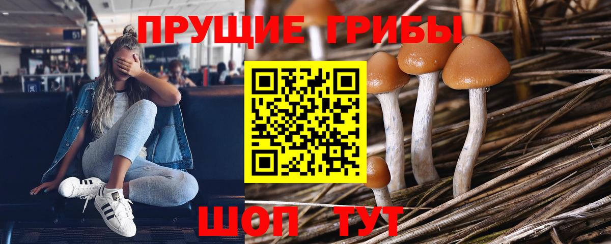 Гашиш Новочебоксарск