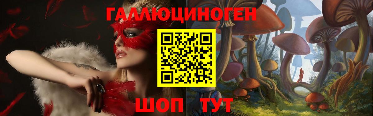 Новочебоксарск  Галлюциногенные грибы GOLDEN TEACHER  Вход с VPN 